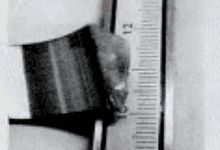 加工中，轴承套圈断裂、裂纹失效分析